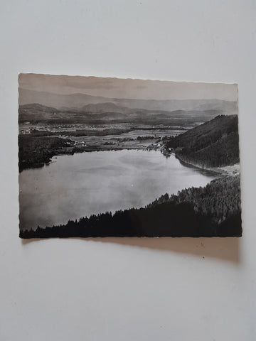 AK Blick auf den Klopeinersee.