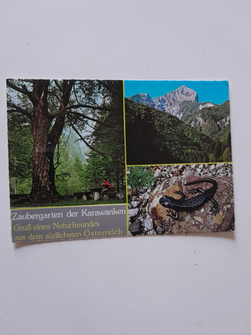 AK Zaubergarten der Karawanken. Trögenerklamm. Potok-Graben bei Trögern. Alpen-Salamander.