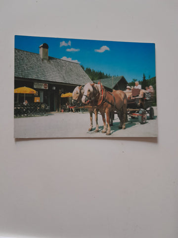 AK Pferdefuhrwerk Mariazell - Walster. Gasthhaus zum Hubertussee.
