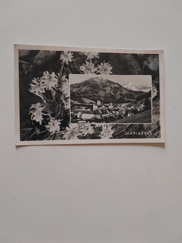 AK Mariazell.