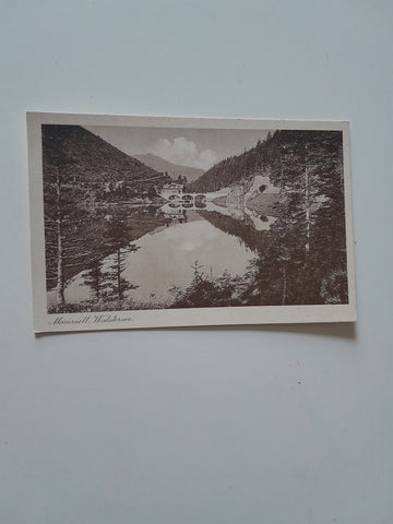 AK Mariazell, Walstersee.