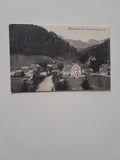 AK Mürzsteg (1924)