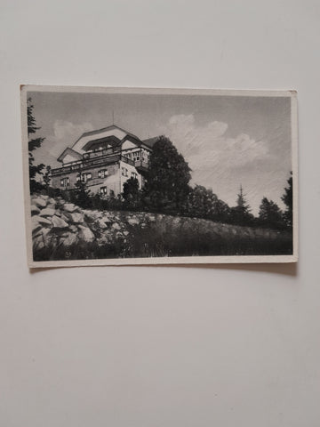 AK Alpenpension Bärenkogelhaus Görig-Schruf. Mürzzuschlag-Hönigsberg.