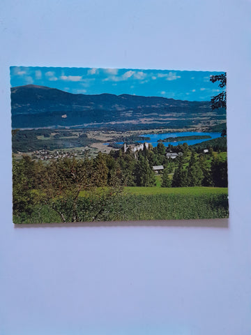 AK Faakersee mit Ruine Finkenstein und Gerlitze.