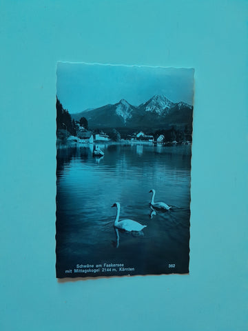 AK Schwäne am Faakersee.