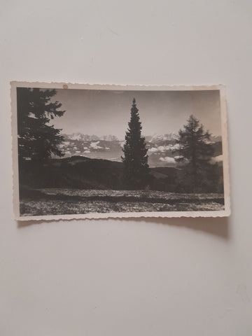 AK Kanzelhöhe, Blick gegen die Julischen Alpen.