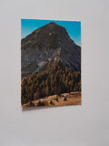 AK Mittagskogel. Ostgrat. Aufstieg von der Bertahütte.