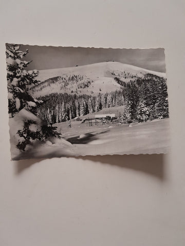 AK Blick von der Kanzel auf die Gerlitzen.