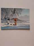 AK Winter in Kärnten. Am Faakersee.