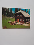 AK Alpengasthof Knappenhütte an der Villacher Alpenstraße Parkplatz 7.