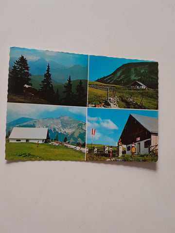 AK St. Koloman. Jausenstation Christl-Alm. HIntertrattberg. Bes. Christine Neureiter.