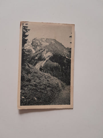 AK Der Hohe Göll mit dem Purtschellerhaus.