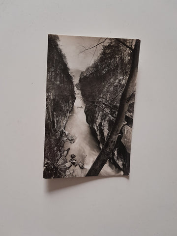 AK Salzachöfen bei Golling. Salzachausfluß.