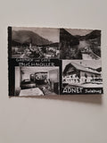 AK Adnet. Gasthof und Cafe Buchmüller.