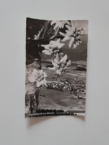 AK Edelweißgruß aus Abtenau.