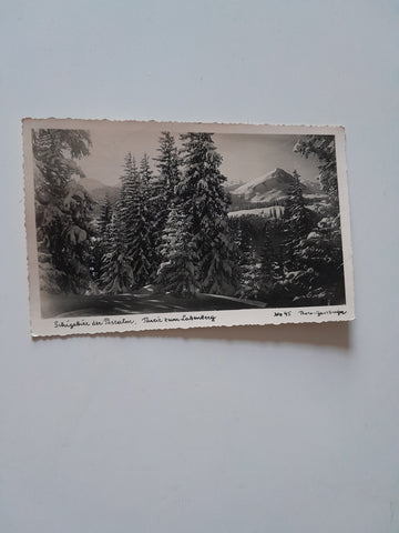 AK Schigebiet der Postalm, Partie zum Labenberg.