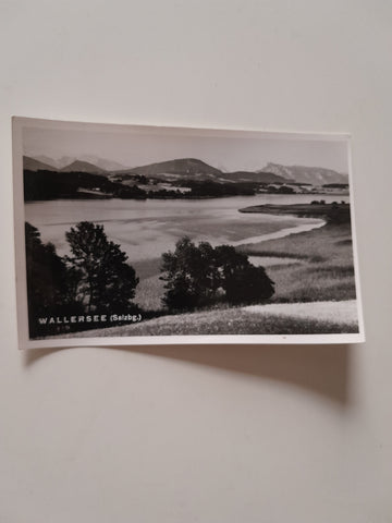AK Wallersee.