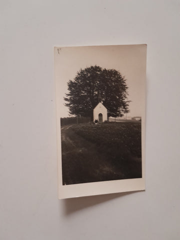 AK Haunsberg. Kapelle.