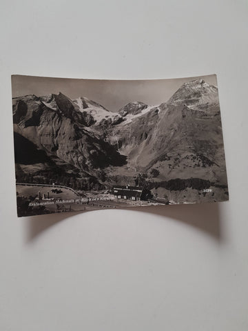 AK Restaurant Hochmais mit Blick ins Käfertal.