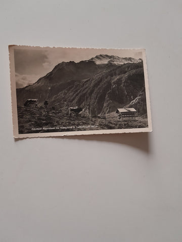 AK Gasthof Alpenrose im Habachtal g. Leiterkogel.