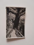 AK Vorderkaser-Klamm Verschönerungs-Verein-Lofer.