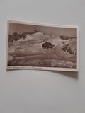 AK Gross-Venediger v.d. Kürsingerhütte.