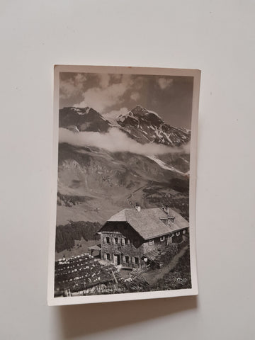 AK Trauneralm ? u. Wiesbachhorn.