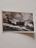 AK Heinrich Schwaigerhaus Bratschenkopf u. Glockerin.