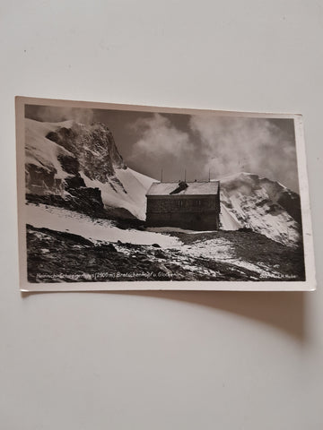 AK Heinrich Schwaigerhaus Bratschenkopf u. Glockerin.