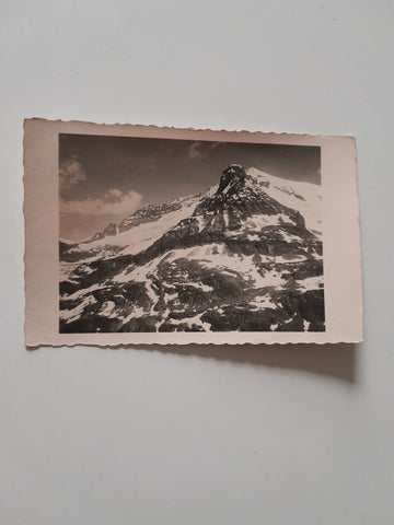 AK Blick vom Schafbichl gegen Kaprunertörl. Hohe Riffl, Totenköpfe.