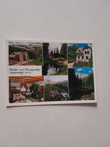 AK Wander- und Tourengasthof Ammererhof. Luise Tomasek-Mühlthaler. Rauris.