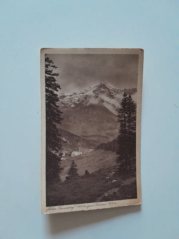 AK Hoher Tauernhof g.d. Hochkaar.
