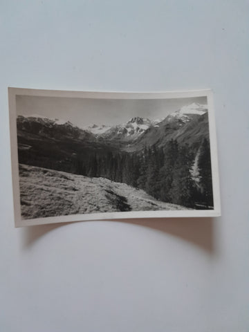 AK Hohe Tauern, Bergkranz der Rauris von der Türchl.