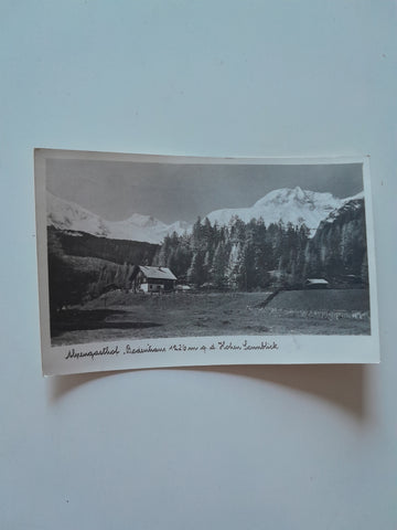AK Alpengasthof Bodenhaus g.d. Hohen Sonnblick.