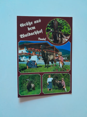 AK Piesendorf. Gasthof Waidachhof. Bes. Fam. Passrugger. Walchen 22.