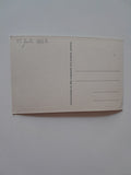 AK Obersulzbachtal Postalm g. Gr. Geiger. Gross Venediger.