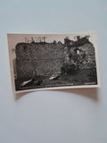AK Im Burghof der Ruine Hieburg bei Rosenthal.