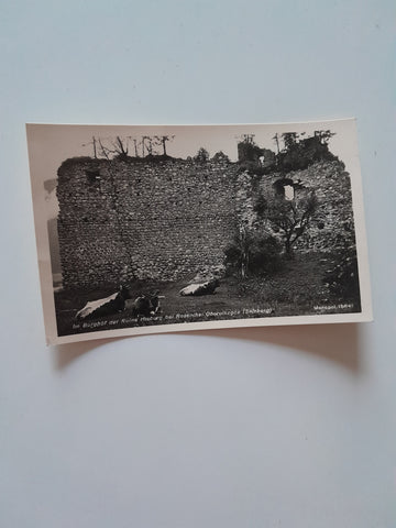 AK Im Burghof der Ruine Hieburg bei Rosenthal.