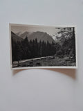 AK Naturpark bei Neukirchen. (1927)