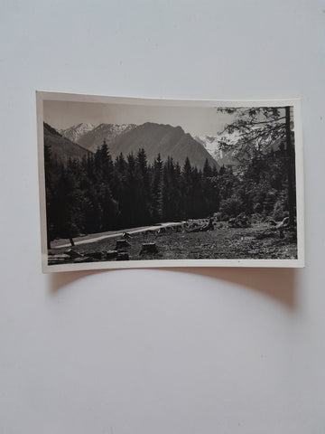 AK Naturpark bei Neukirchen. (1927)