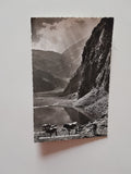 AK Hintersee im Felbertal mit Freiwand.
