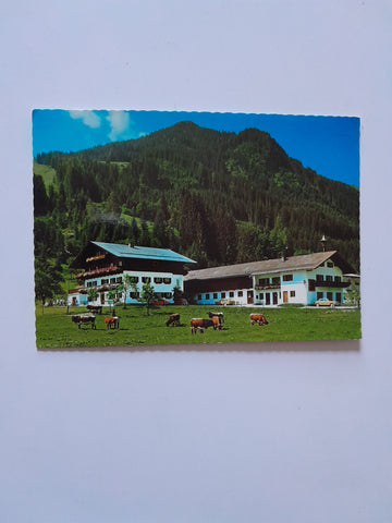 AK Hinterglemm 48. Pension Wiesern. Bes. Familie Kröll.