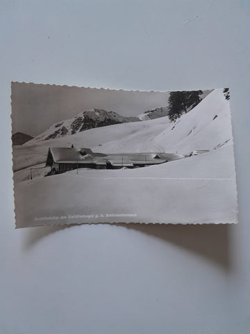 AK Breitfußalm am Zwölferkogel g.d. Schönhoferwand.