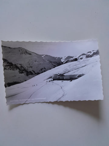 AK Saalbach. Breitfußalm am Zwölferkogel.