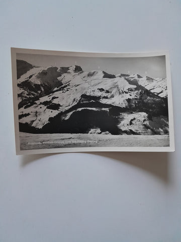 AK Saalbach. Penhab-Gruppe vom Schattberg Anstieg.