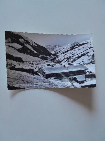 AK Saalbach Hinterglemm Schiheim Mitteregg mit Zwölferkogel und Talschluß.