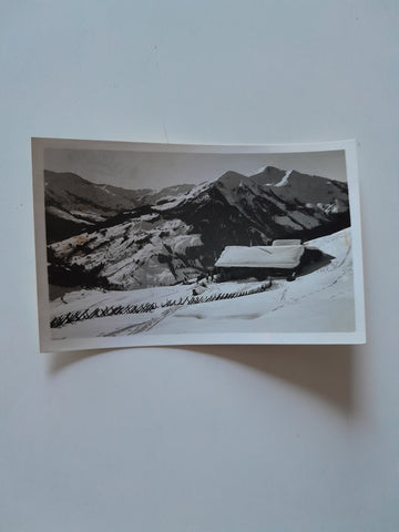 AK Saalbach. Reiteralm am Reiterkogel g. Zwölfer u. Penhab. (1936)