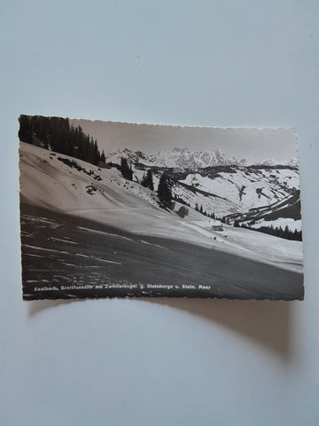 AK Saalbach. Breitfussalm am Zwölferkogel g. Steinberge u. Stein. Meer.