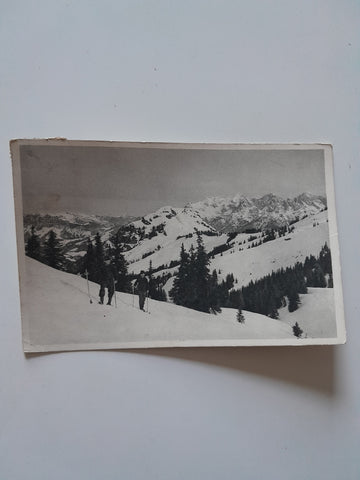 AK Saalbach. Blick vom Reiterkogel gegen Bürglkopf und Steinberge.
