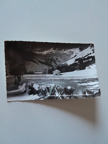 AK Mitterlengau geg. Gamshag, Tristkogel Hinterglemm.